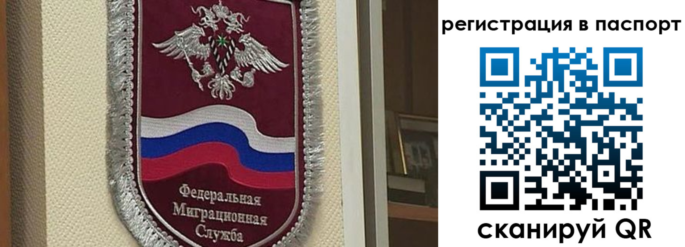 прописка законно в Данилове